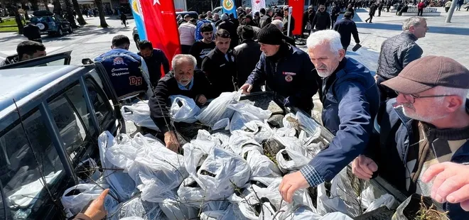 Akçakoca ve Gölyaka'da fidan dağıtıldı