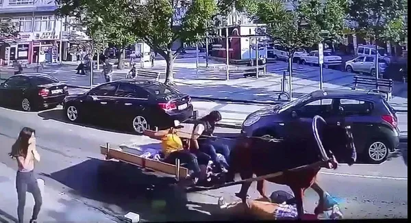 1686751996590.jpeg Tekirdağ'da akılalmaz olay! Yolda yürürken at çarptı - 2
