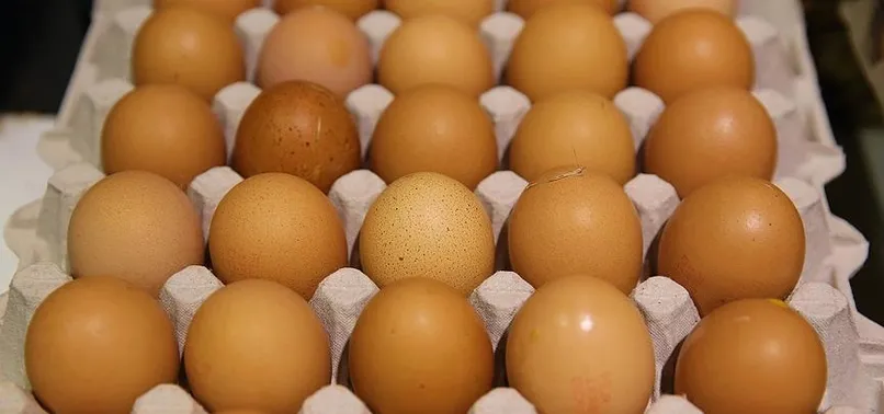 Belçika yumurta krizinde Hollanda'yı suçladı