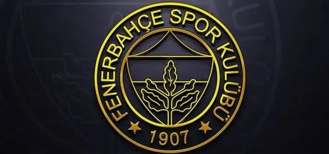Fenerbahçe Doğuş’un yeni transferi Lauvergne, İstanbul’a geldi