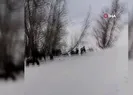 Hakkari’de at sürüsü ölüme terk edildi