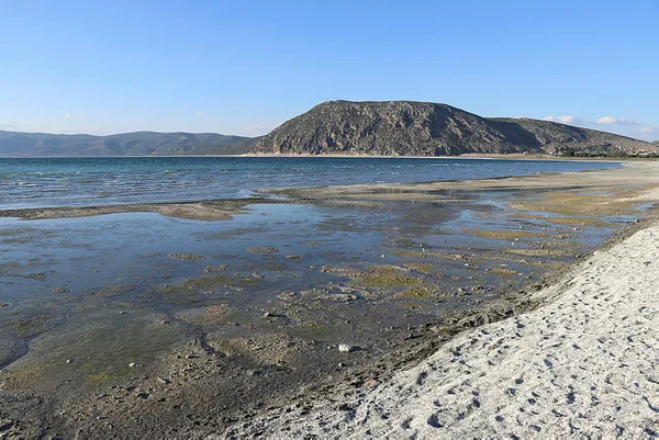 Salda Gölü'ndeki sarımtırak görüntüye ilişkin Vali Ali Arslantaş'tan flaş açıklama - 7