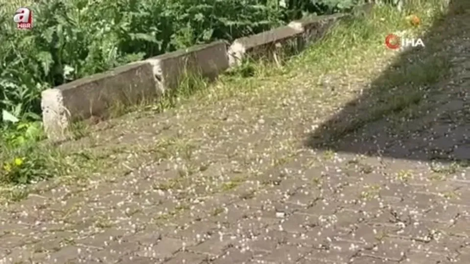 Diyadin’de dolu yağışı