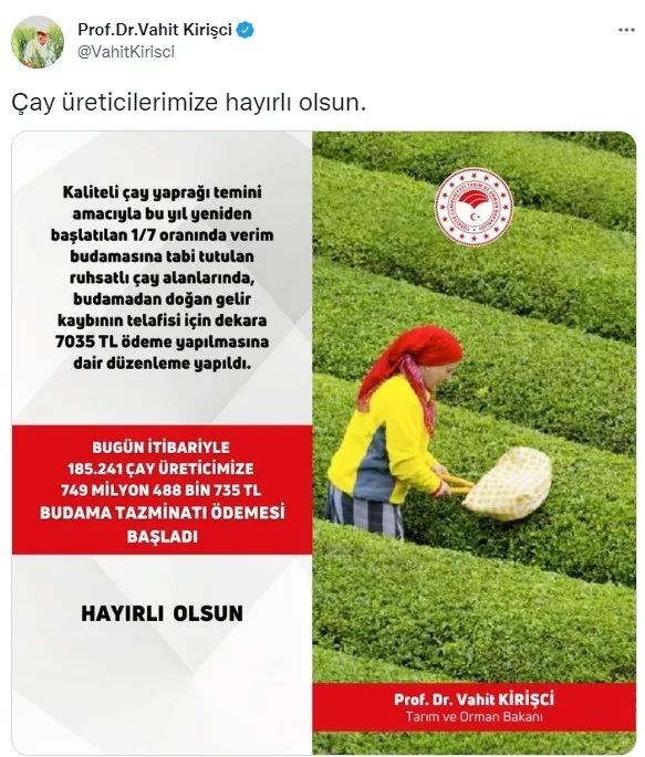 Çay üreticilerine ödemeler başladı! Tarım ve Orman Bakanı Vahit Kirişci SON DAKİKA duyurdu - 1
