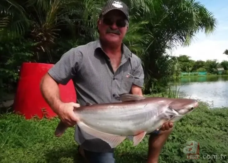 Dev timsah dehşet saçtı 🐊 Her yerde aranan balıkçı timsahın midesinden çıktı