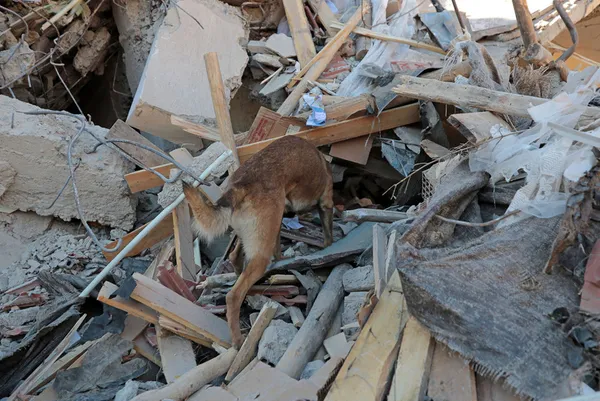 elazig-depreminde-dilek-apartmani-14-kisiye-mezar-olmustu-birbirlerini-sucladilar-1606282311332.jpg Elazığ depreminde Dilek Apartmanı 14 kişiye mezar olmuştu! Birbirlerini suçladılar - 7