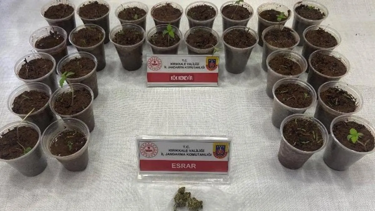 Yoldaki çevirmede 28 bardak kenevir ele geçirildi
