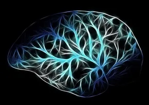 Zihni genç tutmanın sırrı ondaymış! Kahvaltıların baş tacı: Bir dilim bile yetiyor