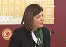 HDPden skandal FETÖ sözleri