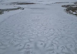 Bitlis'te tüm göller buz tuttu