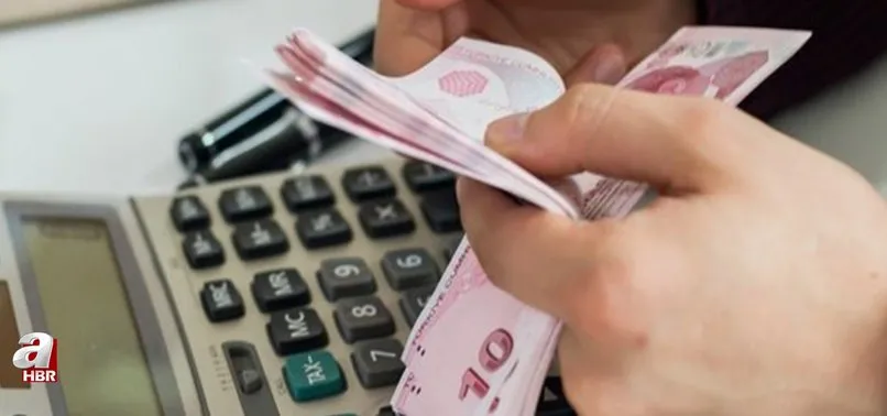 Buzağı desteklemeleri yattı mı? Buzağı desteklemeleri ne zaman yatacak 2022? T.C Kimlik numarası...
