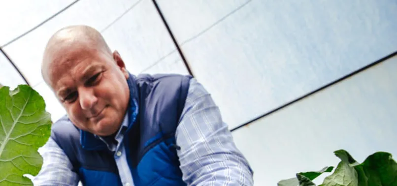 Konya'da salgında hobi amaçlı sera kuran mühendis, şimdi talebe yetişemiyor