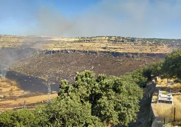 Diyarbakır'da tarlada başlayıp bir bahçeye sıçrayan yangın hasara sebep oldu! Ekipler soruşturma başlattı