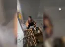 Avlanması yasak kuşları...