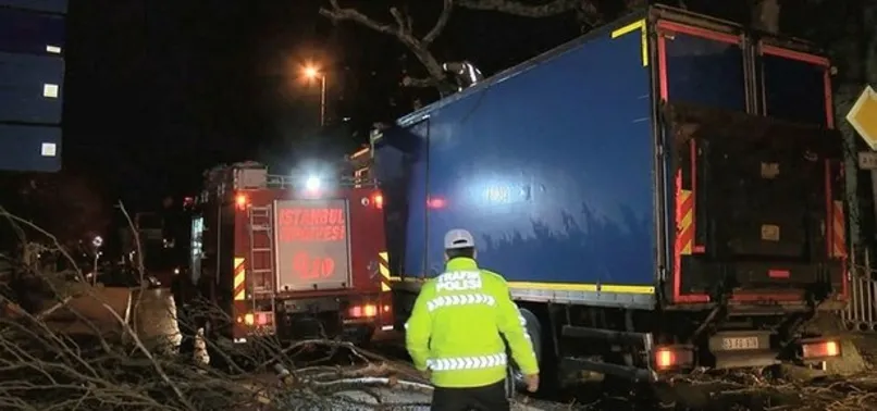Üsküdar'da feci kaza! Kamyon ağaca çarptı!