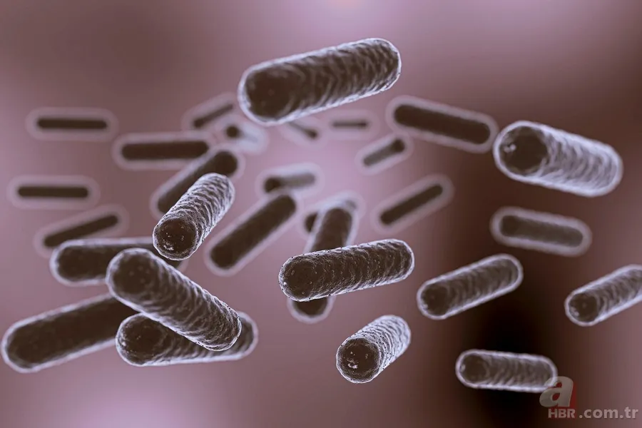 Pluralibacter gergoviae bakterisi nedir? Şampuanda çıkan bakteri zararlı mı? 1