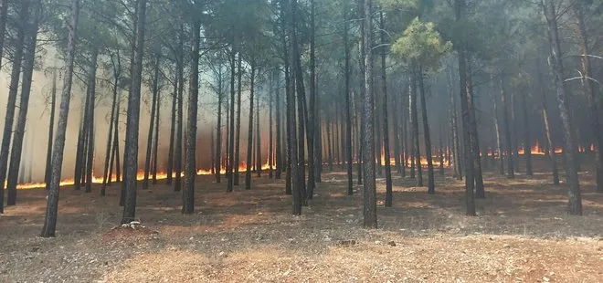 Kahramanmaraş’ta ormanlık alanda yangın çıktı! Ekiplerin müdahalesi sürüyor