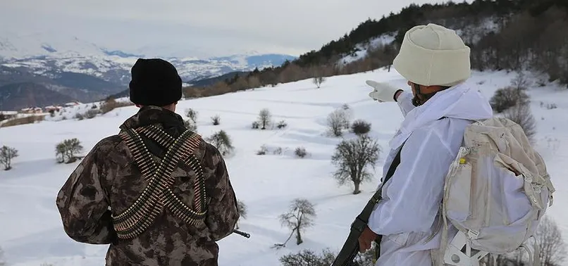 Şırnak'ta 2 bin 900 rakımda terör operasyonu