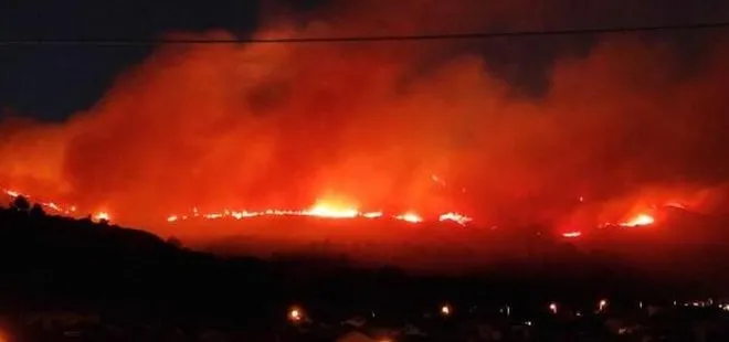 İzmir’de yangın: 3 hektar alan zarar gördü! Sabotaj ihtimali