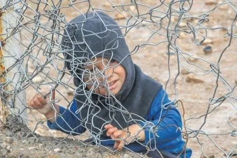 Son dakika: Terör örgütü PKK/ YPG’nin kontrolündeki El-Hol kampında çocuk katliamı