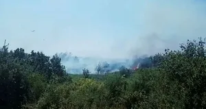 Aydın’da orman yangını