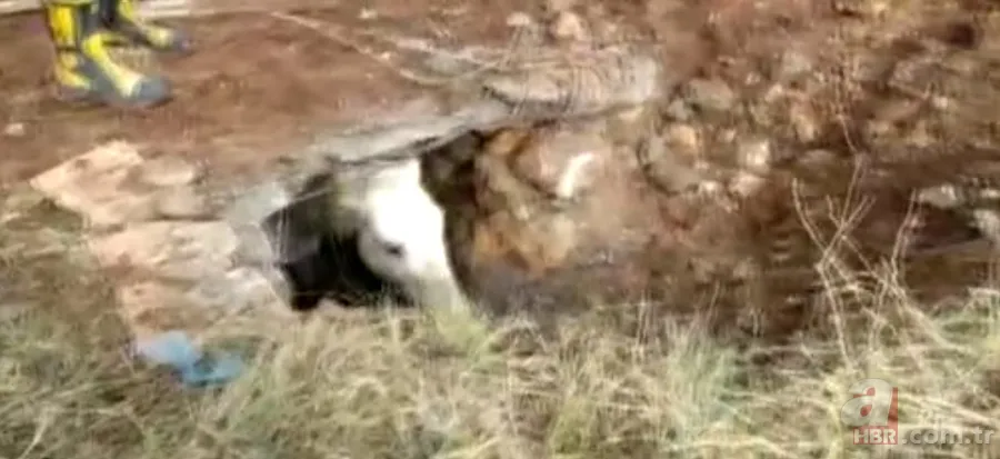 Yer altından gelen garip sesler ekipleri harekete geçirdi! Kanalizasyondan çıkan şoke etti 17