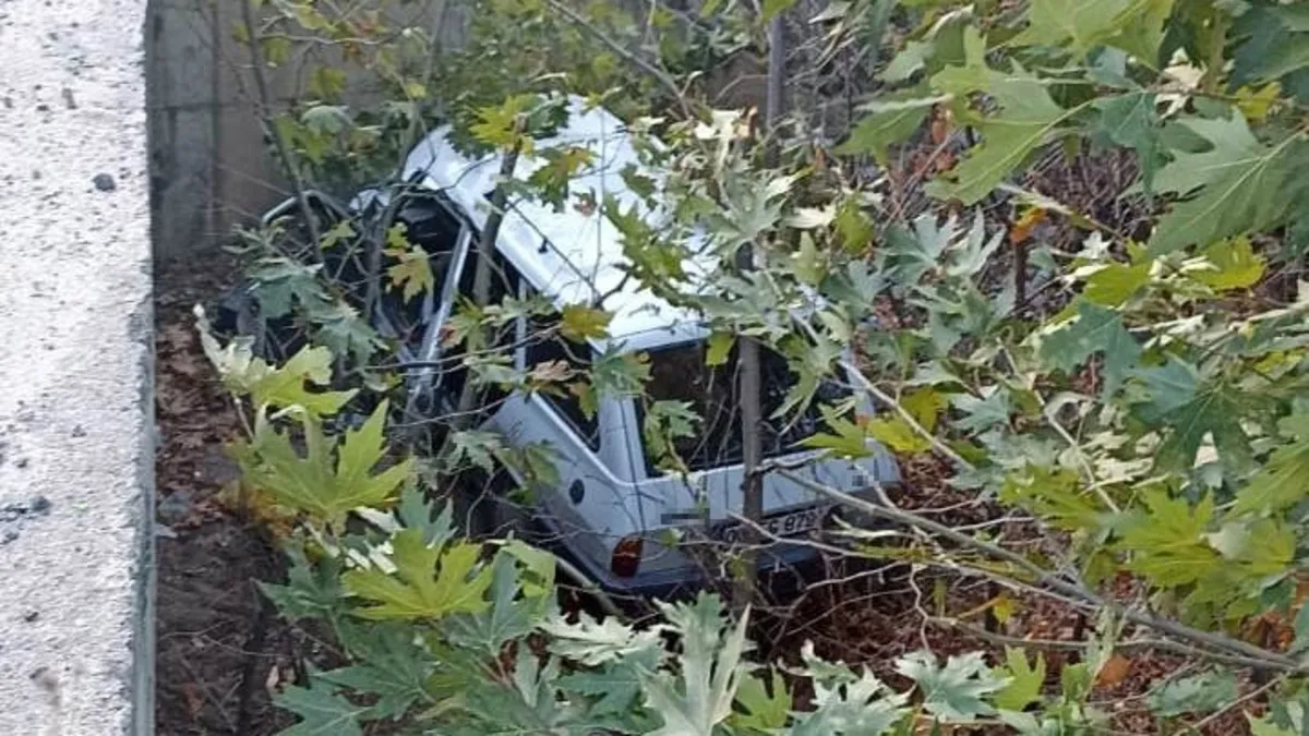 Balıkesir’de otomobil dereye uçtu: 1 yaralı