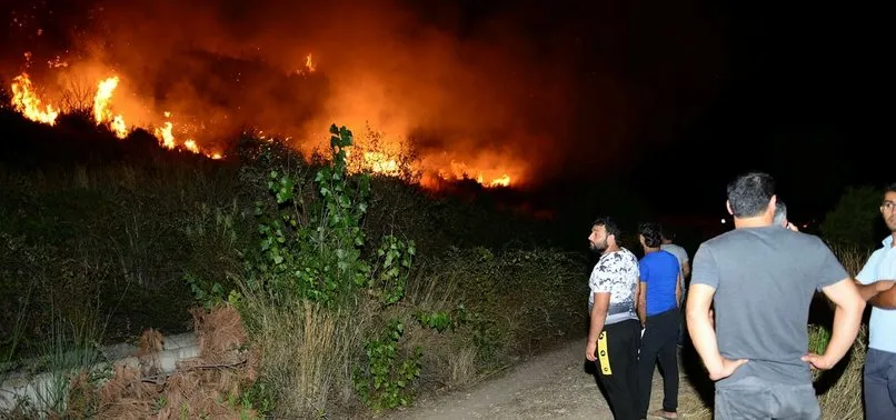 Antalya'da makilik yangını