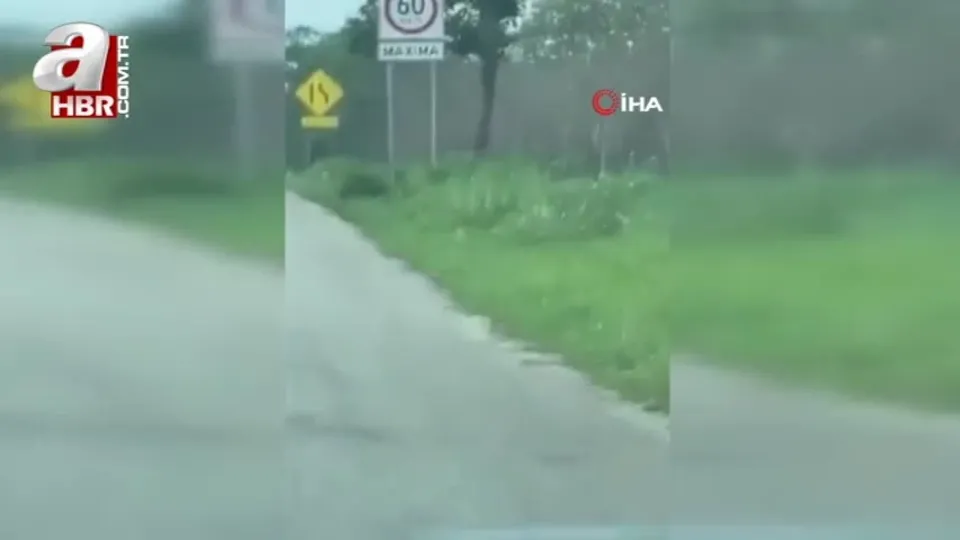 Meksika’da 14 polis kaçırıldı