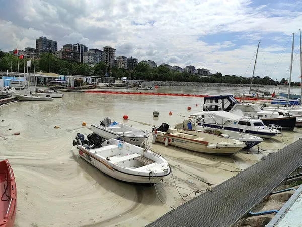 Müsilaj tehlikeli mi? Çevre ve Şehircilik Bakanlığından son dakika açıklaması!
