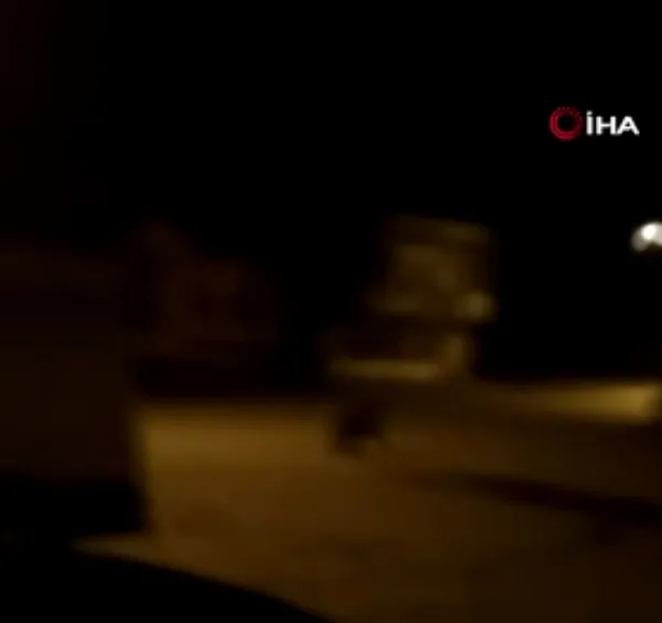 sivasta-sehre-inen-ayi-panigi-firinin-kapisini-acinca-karsisinda-buldu-1668505669493.jpg Sivas’ta şehre inen ayı paniği! Fırının kapısını açınca karşısında buldu - 3