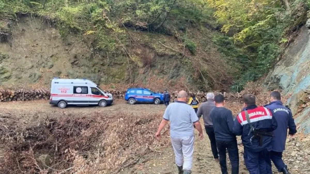 Kastamonu'da ayı dehşeti! Saldırıya uğrayan adam hastanelik oldu