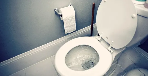 milyonlarca-insan-yillarca-tuvalet-suyunu-icti-japonyadaki-hastanede-buyuk-skandal-1636561965251.jpg Milyonlarca insan yıllarca tuvalet suyunu içti! Japonya'daki hastanede büyük skandal! - 2