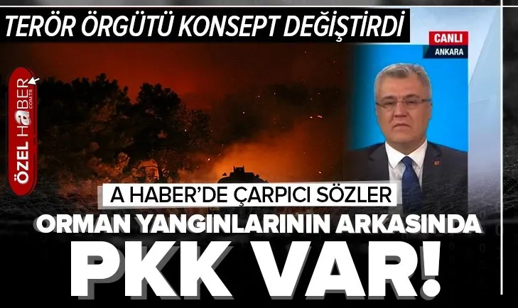 Orman yangınlarının arkasında PKK var! ‘’PKK konsept değiştirdi’’
