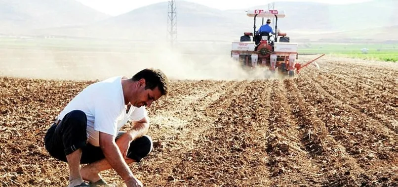 Buzağı destek ödemeleri ne zaman yatacak 2023? Nisan - Mayıs buzağı destekleri yattı mı, ödendi mi? İL İL ödeme listesi...