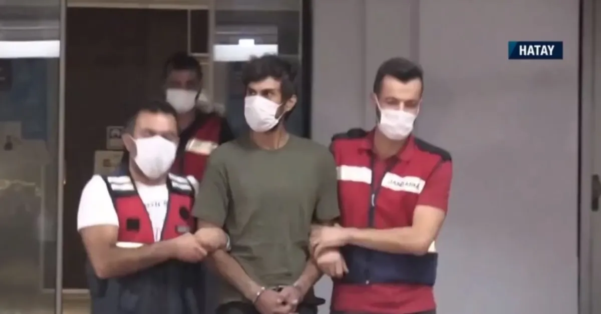 Firari HDP eski milletvekili Demir Çelik'in PKK'lı oğlu Yoldaş Selim Çelik Hatay'da tutuklandı