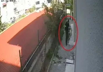 Sahiplendiği köpekleri parçalayıp öldürmüştü! Telefonundan 43 bin müstehcen görüntü çıktı