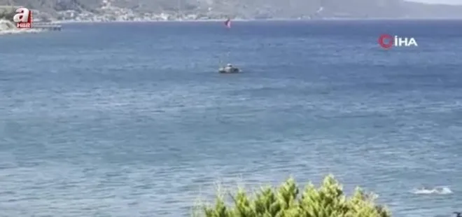 Yalova'da yunusun yüzen vatandaşla burun buruna geldiği anlar kamerada