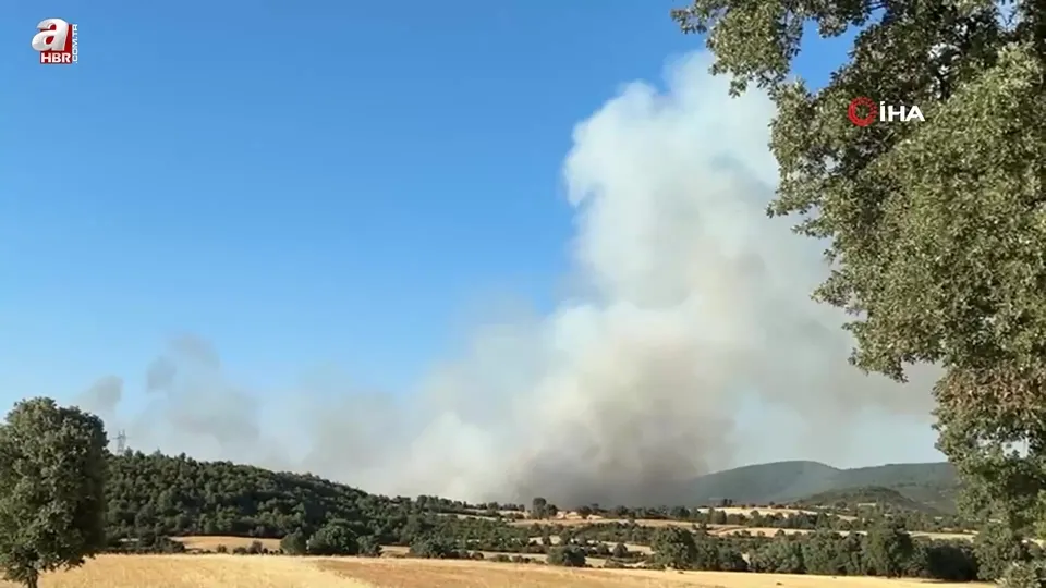Uşak’ta iki ayrı noktada orman yangını