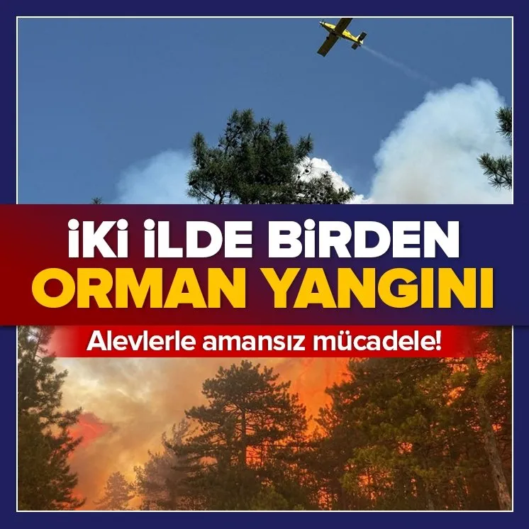 Bursa ve Antalya’da orman yangını
