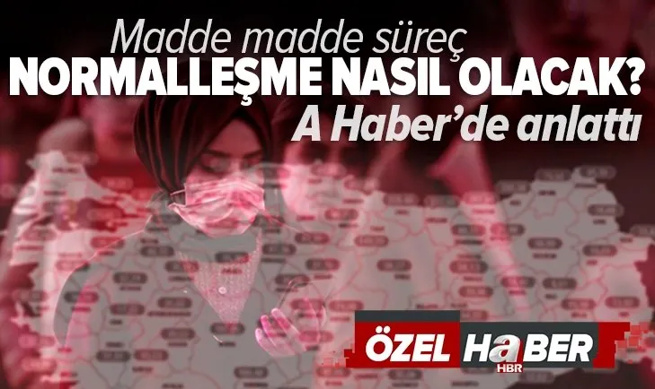 Kontrollü normalleşme nasıl olacak? Madde madde normalleşme süreci