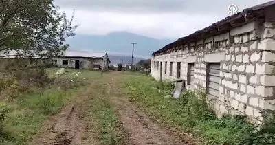 Mel Gibson'ın 'soykırım' iftirası elinde patladı!