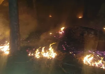 Muğla Yatağan'da orman yangını kontrol altında!