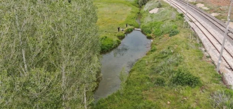 Başkan Erdoğan balıklı göl için imzayı attı! Sivas'ın doktor balıkları sağlık turizmi sağlayacak