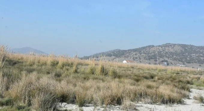 Bataklık ve sazlık bölge, Türkiye'nin en büyük jeotermal ısıtmalı serası olacak - 2