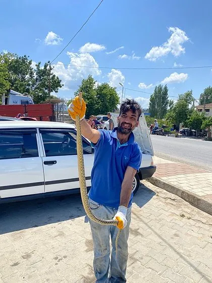 Satılık otomobilden çıkan şoke etti!
