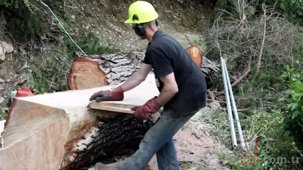 Ağaçlar onun elinde şekilleniyor! Şimşir ağaçlarından... 24