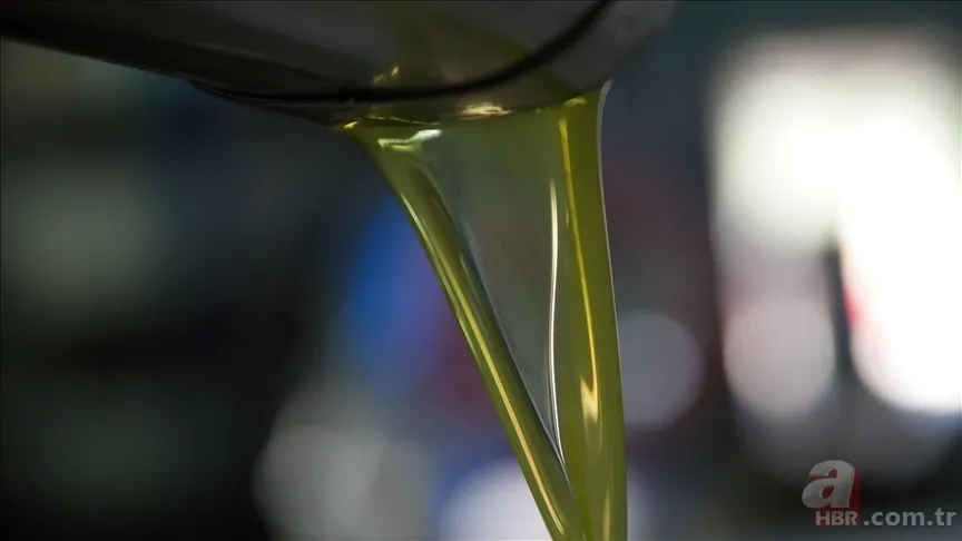 7 gün boyunca her sabah zeytinyağı içti: Vücudunda neler değişti? İşte kalp, kolesterol ve bağırsak sağlığına etkisi 7