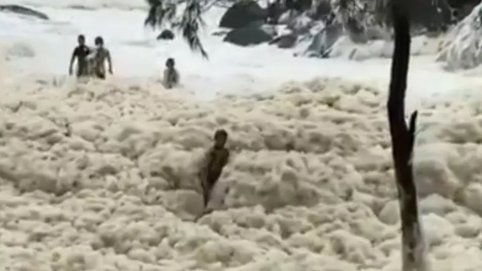 Doğa olayı hayrete düşürdü! Tüm sahili kapladı duyan akın etti