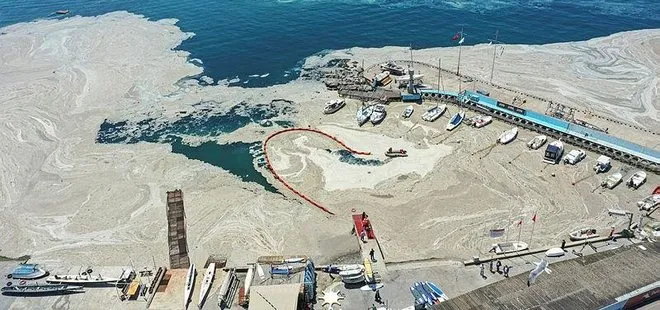 Son dakika: İşte Marmara Denizi’ni müsilajdan kurtaracak plan! Başkan Erdoğan talimat vermişti